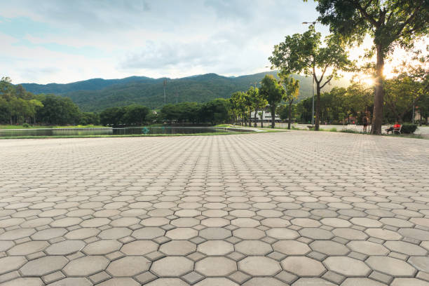 Best Interlocking Driveway Pavers  in North Chicago, IL
